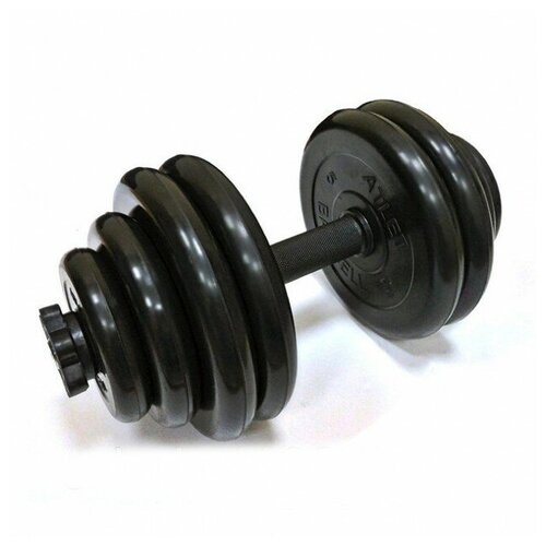 фото Гантели разборные 1 шт по 29 кг barbell atlet черный mb barbell