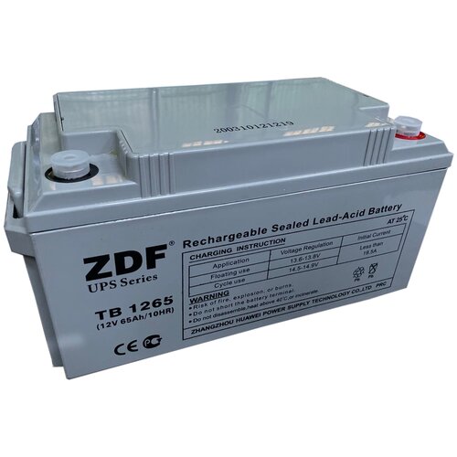 Аккумулятор тяговый ZDF DTM1265 AGM 12V 65 a/h