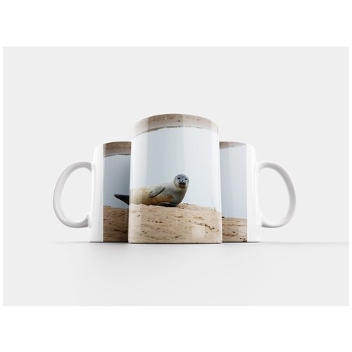 фото Кружка "тюлень, пляж, море" 320 мл lotsprints