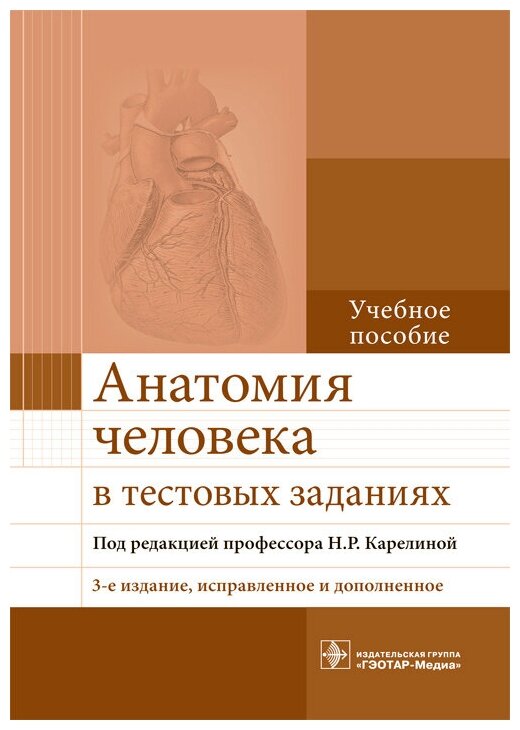 Анатомия человека в тестовых заданиях. Учебное пособие