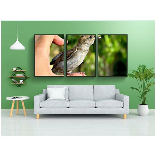 фото Набор модулных постеров для интерьера "птица, животное, рука" 60x90 см. в тубусе, без рамки lotsprints