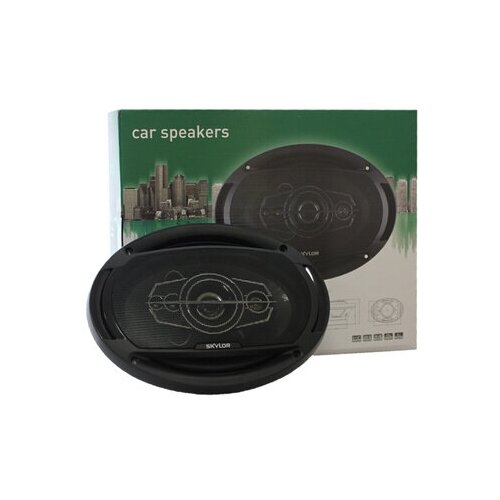 Автомобильная акустика SKYLOR BS-6904 250000₽