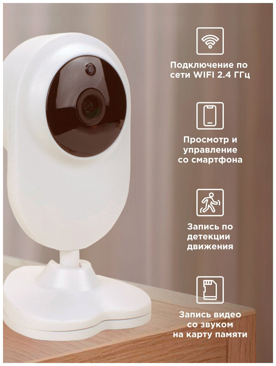 Умная камера видеонаблюдения WIFI IP 1Мп 720P Ps-Link TD10 - фотография № 1