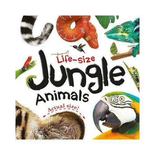 Life-size. Jungle Animals