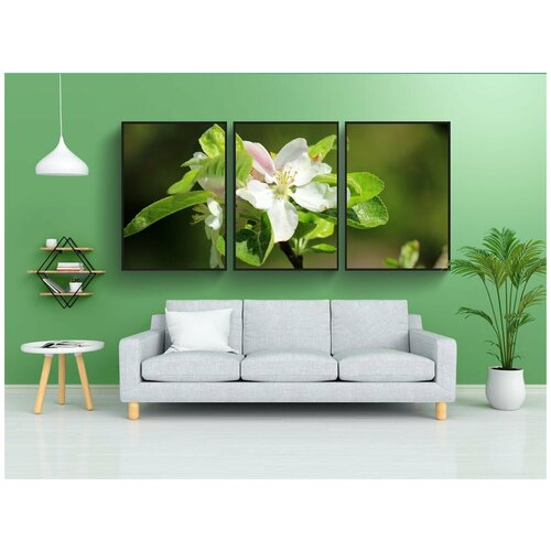 фото Набор модулных постеров для интерьера "apple цветок, весна, фруктовые деревья" 60x90 см. в тубусе, без рамки lotsprints