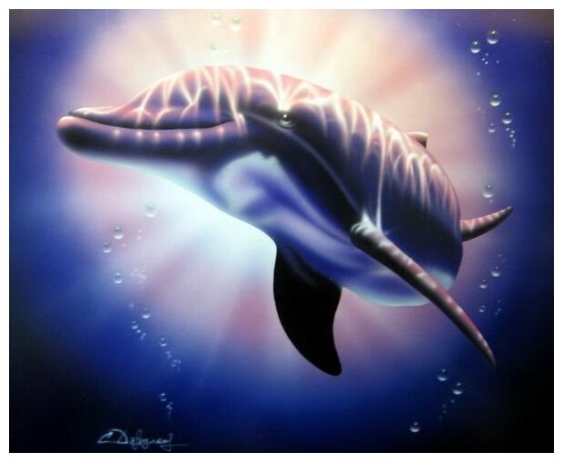 Постер на холсте Дельфин (Dolphin) №1 37см. x 30см.