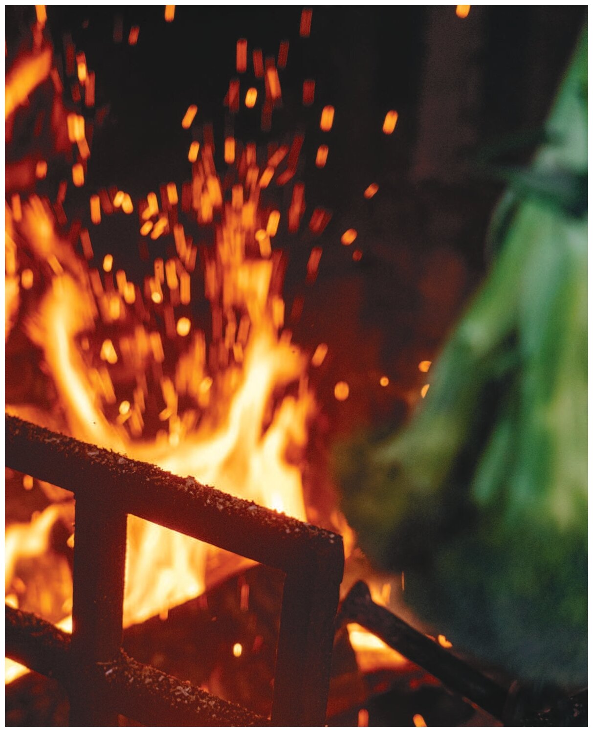 Smoke BBQ Кухня живого огня (Буров Алексей Анатольевич, Каневский Алексей Дмитриевич) - фото №14