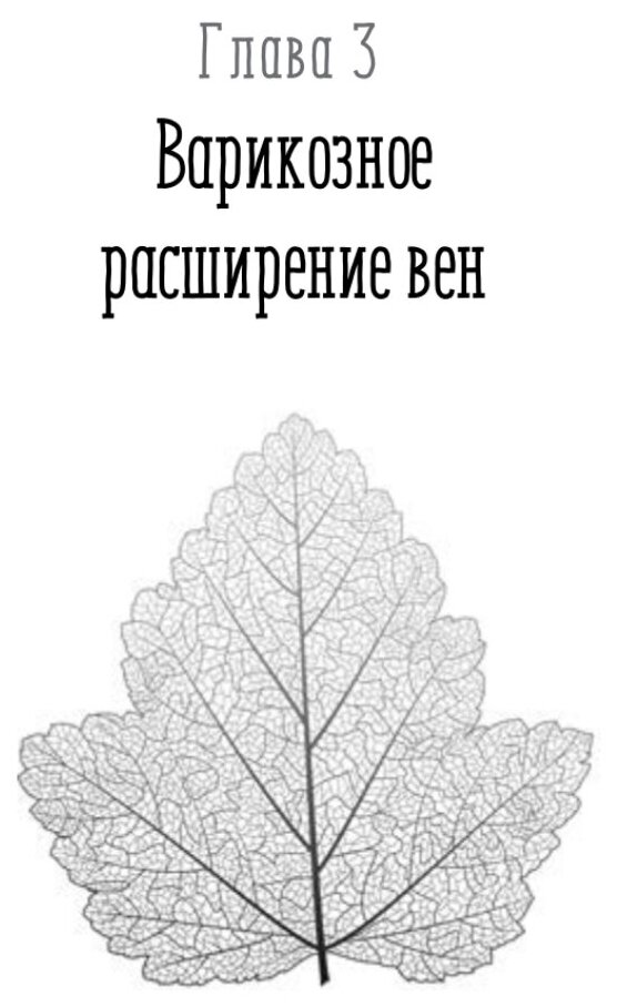 Отеки, варикоз, тромбоз и другие болезни вен. Как лечить и предотвратить - фото №3