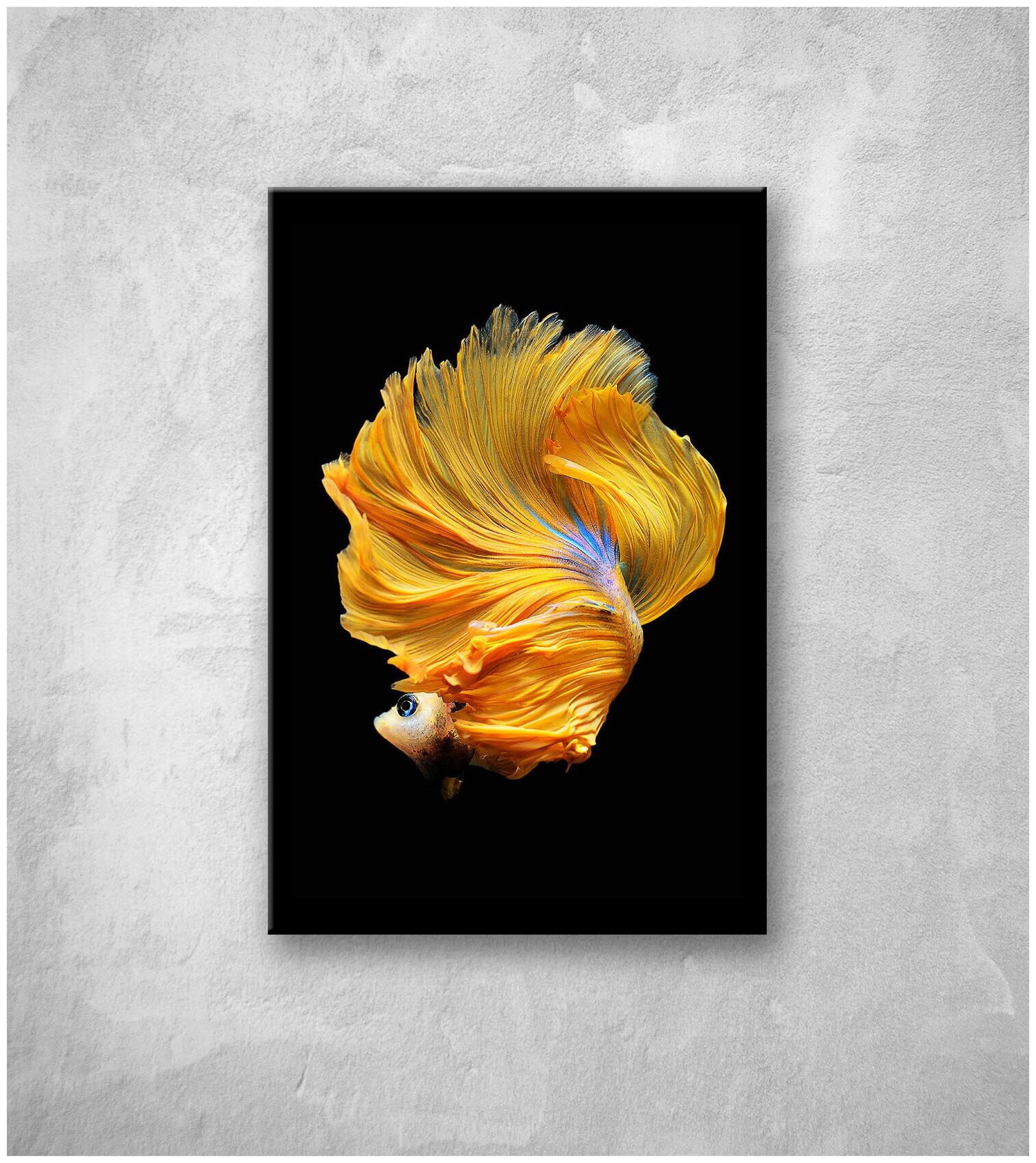 Картина на стекле оптион рыбка сиам желтая
