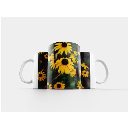 фото Кружка "черноглазая сьюзан, цветок, природа" 320 мл lotsprints