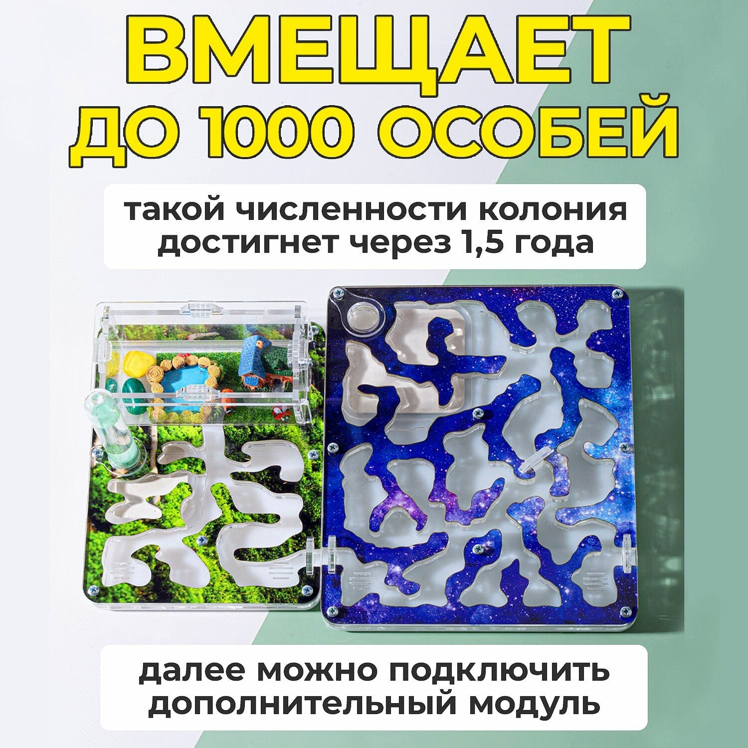 Муравьиная ферма Стартовая "Мох" ВСЕ включено Формикарий для муравьев — фото 1
