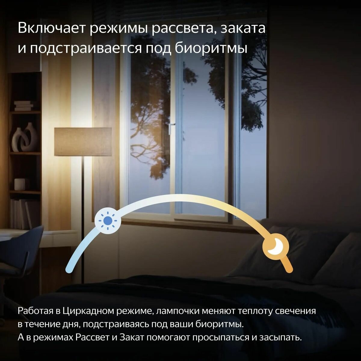 Обзор: Беззеркальный фотоаппарат Sony Alpha a7R V Body