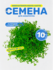Семена растений для аквариума ("Микрантемум Монте-Карло"), 10 гр