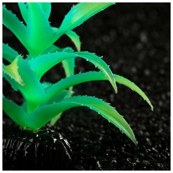 Пижон Аква Растение искусственное аквариумное, светящееся, 10 см, зелёное - фотография № 2