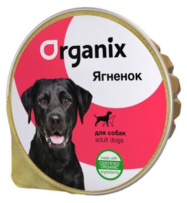 Organix консервы Консервы для собак с ягненком. 23нф21 0,125 кг 16710 (2 шт)