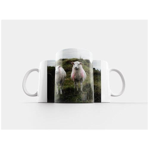 фото Кружка "овец, северное море, шерсть" 320 мл lotsprints