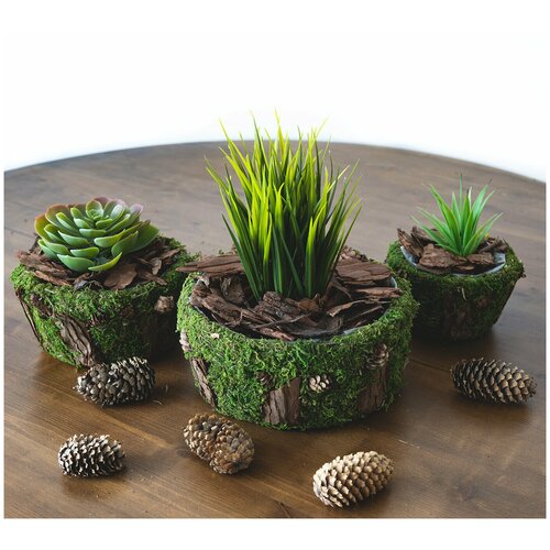 Кашпо Lemar, Зеленый лес, 12 см х 22 см х 22 см, 3 шт