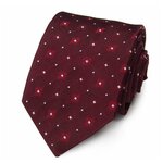 Темно-красный мужской галстук Roberto Conti 821096 - изображение