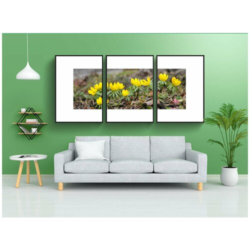 фото Набор модулных постеров для интерьера "подснежники, eranthis hyemalis, весной" 60x90 см. в тубусе, без рамки lotsprints