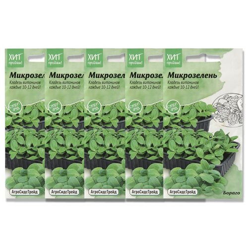 Набор семян Микрозелень Бораго для проращивания АСТ - 5 уп. набор семян микрозелень кольраби для проращивания аст 5 уп