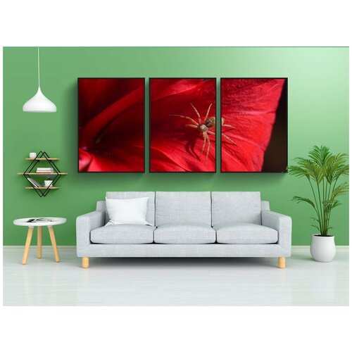 фото Набор модулных постеров для интерьера "паук, небольшой, небольшой паук" 60x90 см. в тубусе, без рамки lotsprints