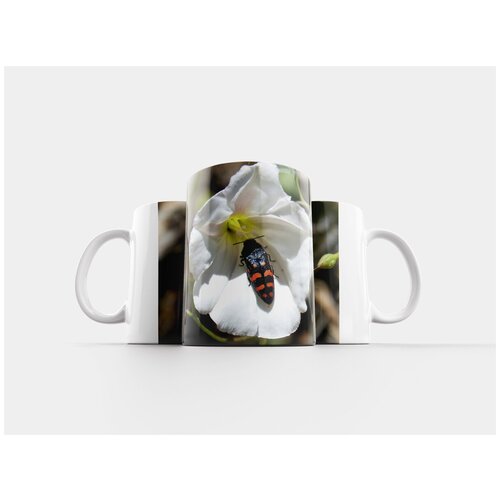 фото Кружка "жук, оранжевый и черный, цветок" 320 мл lotsprints