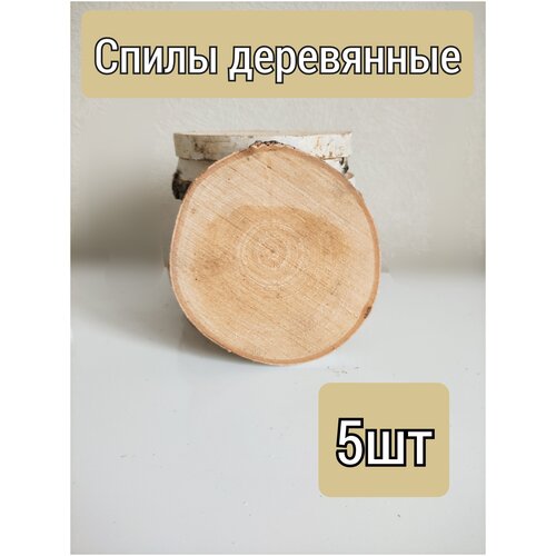 Набор спилов из березы 10 шт