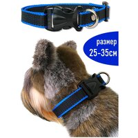 Ошейник для собак Petsare ширина 20 мм, обхват шеи 25-35 см, черный синий кант