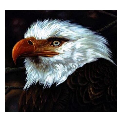 Компакт-Диски, Wall Of Sound, MOGWAI - The Hawk Is Howling (CD)