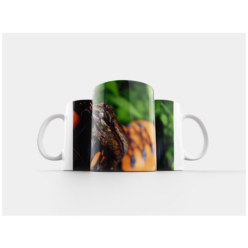 фото Кружка "геккон, ящерица, дикая природа" 320 мл lotsprints