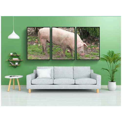 фото Набор модулных постеров для интерьера "свинья, сеять, сельскохозяйственное животное" 60x90 см. в тубусе, без рамки lotsprints