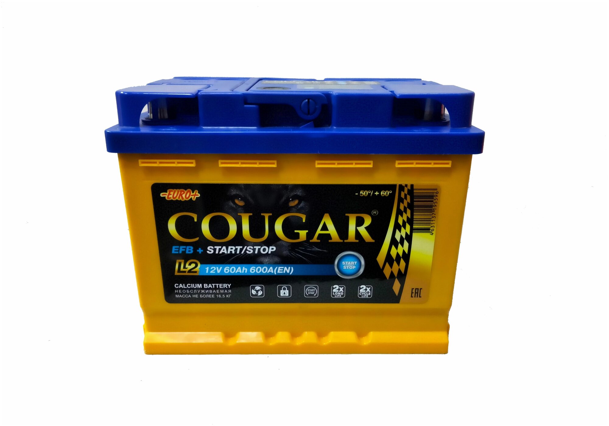 Cougar 60