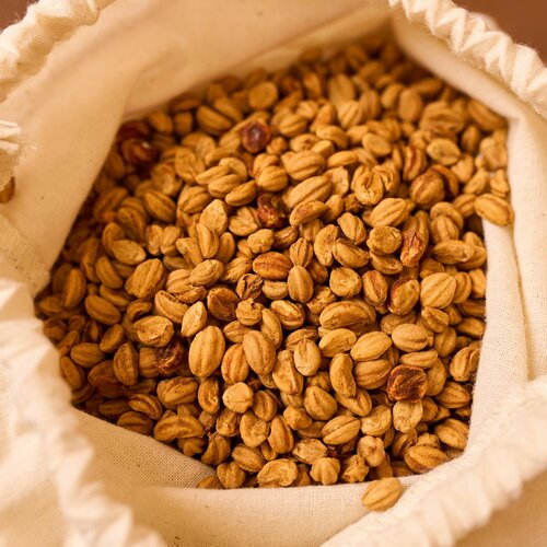 Семена Боярышника сливолистного, морозостойкого, подходит для живой изгороди, 2 грамма (примерно 18 шт)