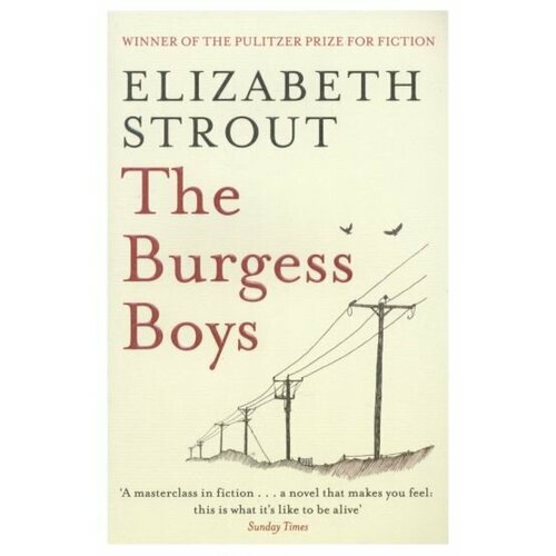 Elizabeth Strout - The Burgess Boys