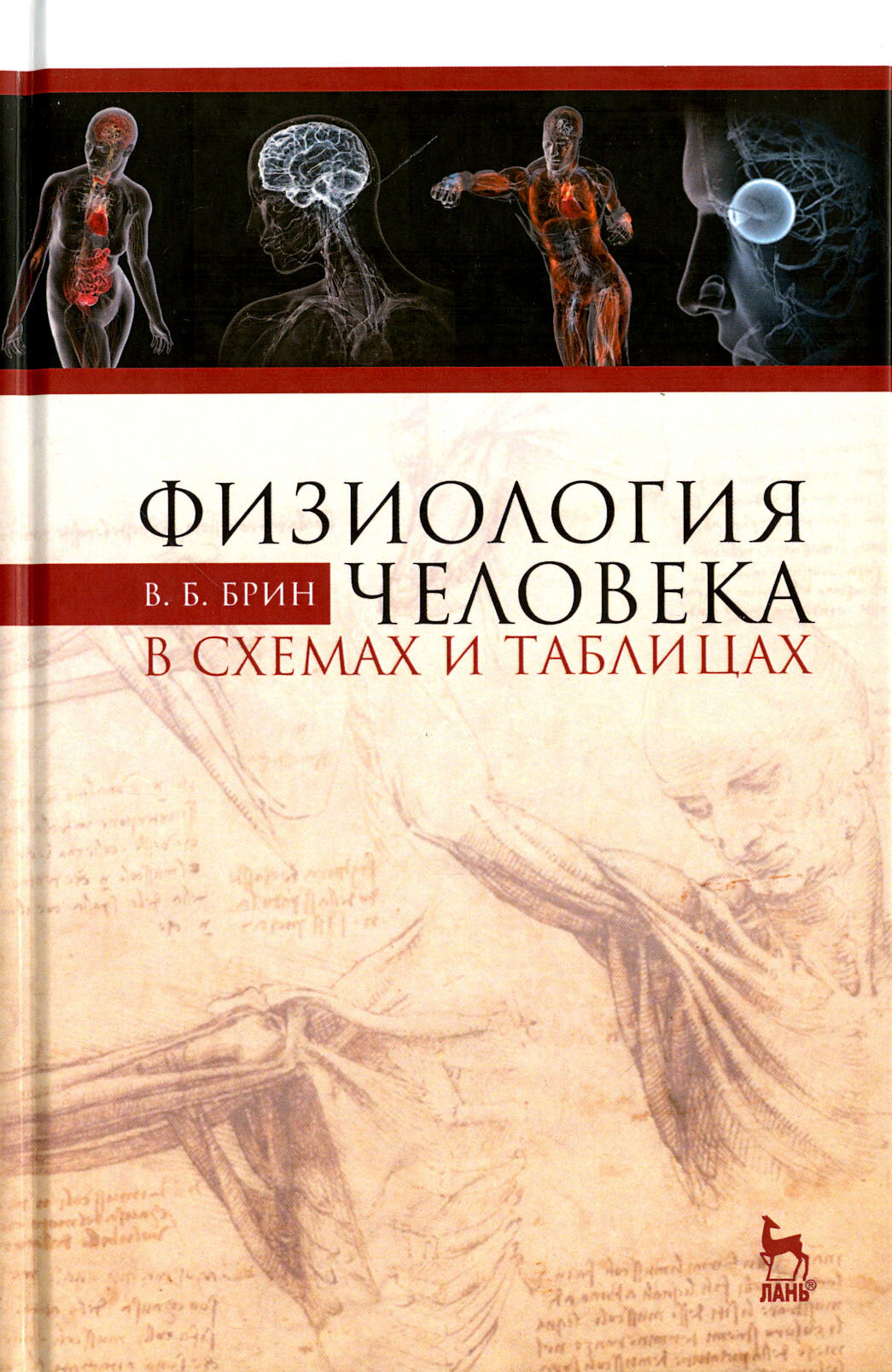 Физиология человека в схемах и таблицах. Учебное пособие