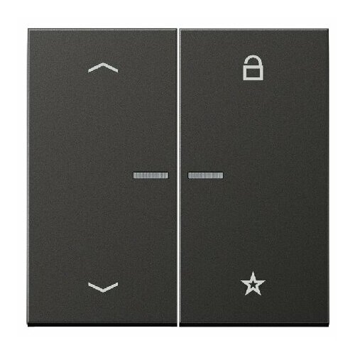 Интеллектуальный элемент управления антрацитовый FM AL 1701 P AN Jung 4011377152380 256191₽