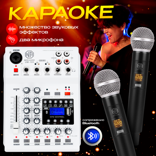 Караоке система NOIR-audio UM-100 с микшером и двумя беспроводными микрофонами 1244800₽