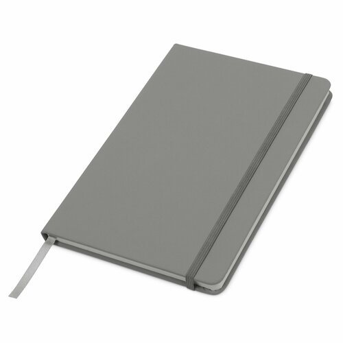 Блокнот А5 Spectrum с линованными страницами серый 544₽