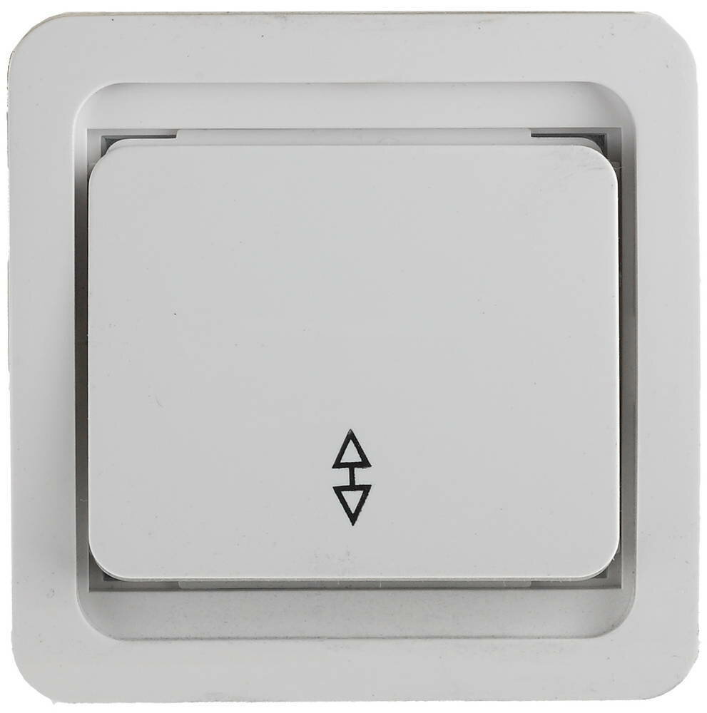 СВЕТОЗАР Гамма, проходной, одноклавишный, без подсветки, цвет белый, 10 А/ 250 В, электрический выключатель (SV-54137-W)