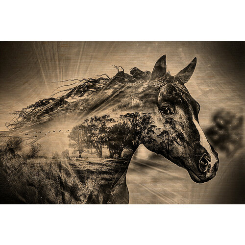 Картина с изображением пейзажа на фоне лошади 60х40