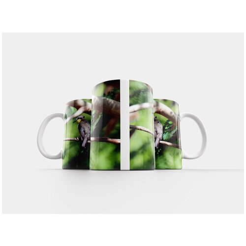 фото Кружка "птица, дикая природа, природа" 320 мл lotsprints