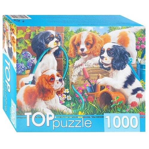 Пазлы "Toppuzzle. Озорные щенки спаниелей", 1000 элементов