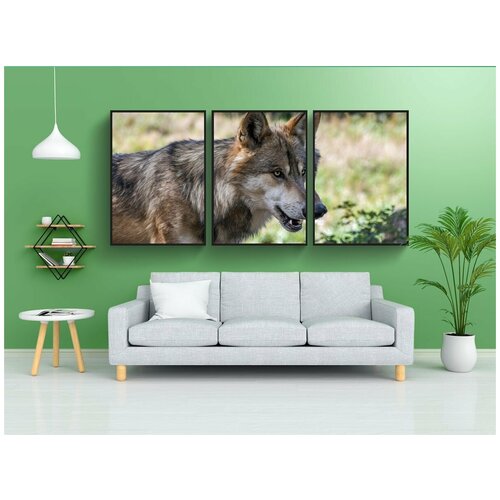 фото Набор модулных постеров для интерьера "волк, хищник, животное" 60x90 см. в тубусе, без рамки lotsprints