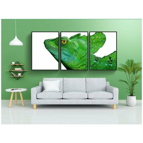 фото Набор модулных постеров для интерьера "игуана, ящерица, рептилия" 60x90 см. в тубусе, без рамки lotsprints