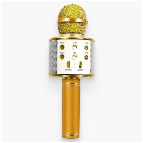 Беспроводной караоке микрофон со встроенным динамиком микрофон для живого вокала Top-Experts золотой 69900₽
