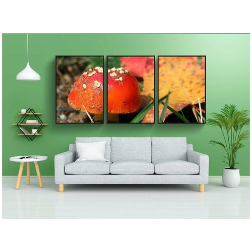 фото Набор модулных постеров для интерьера "красный гриб, грибы, грибок" 60x90 см. в тубусе, без рамки lotsprints
