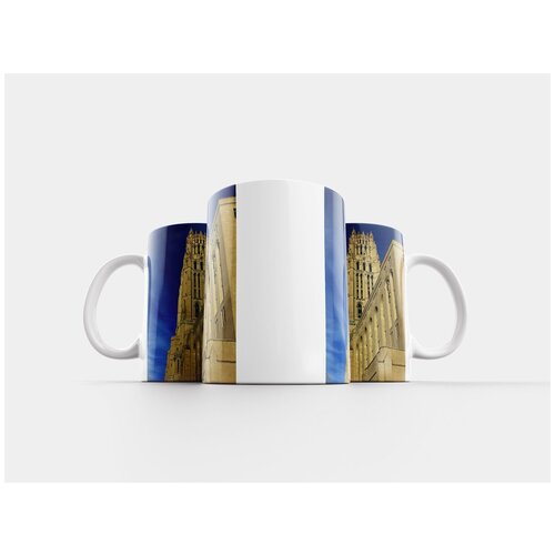 фото Кружка "бабочка, черепаховый, насекомые" 320 мл lotsprints