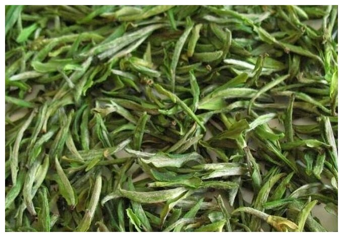 Чай элитный Мао Фэн зеленый чай (100 гр.) - фотография № 2