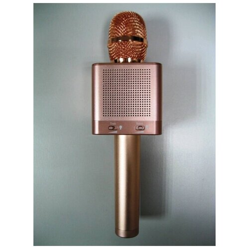 Караоке-микрофон KOMOLOFF Q10S 15Вт 399200₽