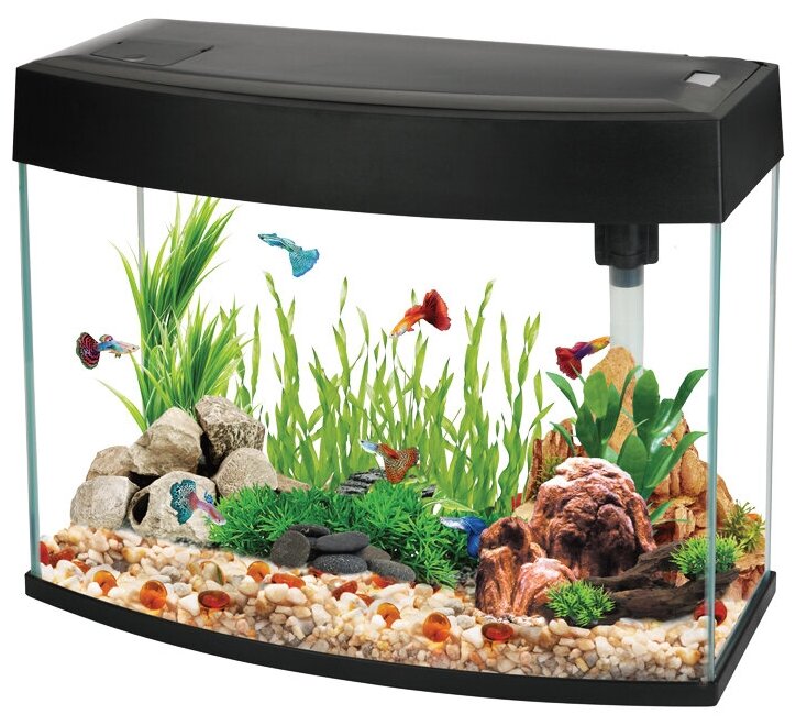 Аквариум BasicP, 1 шт, черный, 20 литров, 440 х 190 х 360 мм, панорамный, декоративный, вместительный, для рыб
